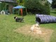 Thumbs/tn_Bild 067.jpg